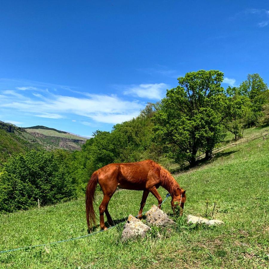 Alereks Mountain Camping Дсех Экстерьер фото